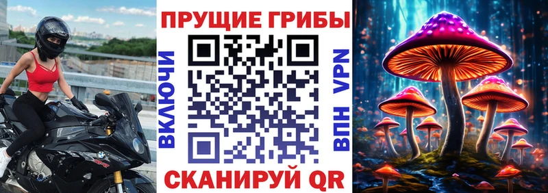 Галлюциногенные грибы Psilocybine cubensis  где можно купить   ОМГ ОМГ   Лукоянов 